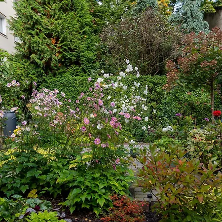 Cozy Corner By Cozyplace